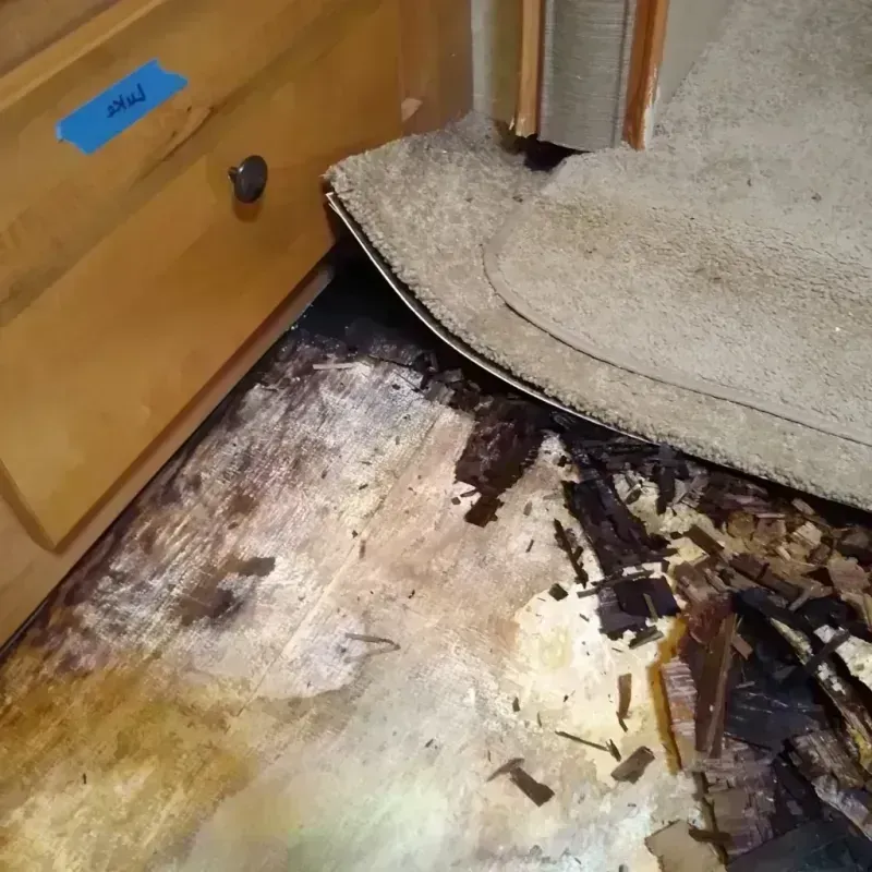 Best Wood Floor Water Damage Service in Stambaugh Iron River, MI